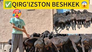 QIRG'IZSTON BESHKEK QÕZILAR KELDI shoshilmz ️