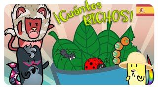  CIENCIA para NIÑOS  APRENDE sobre los INSECTOS CICLO de la MARIPOSA  Gato Rainbow & Gata Moon