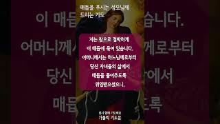 [가톨릭 기도문] 매듭을 푸시는 성모님께 드리는 기도 2 (#shorts , 남자성우)