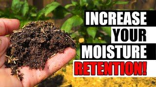 Increase Your Soil's Water Retention Garden Quickie Episode 89