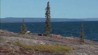 Lake Trout Fishing Great Slave Lake, NWT - Adventures North