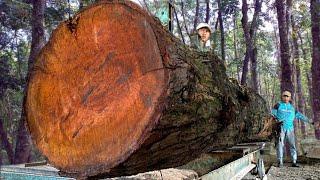 Redwood Chainsaw!! Mahogany for Boards - Sawmillwood