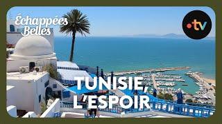 Tunisie, les jasmins de l'espoir - Echappées belles