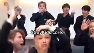 STRAYKIDS (MEMBERS) CORE PART 3