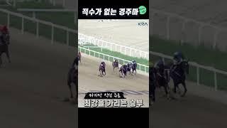 완벽한 세대교체! 또 한번의 우승 '글로벌히트' #shorts
