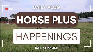 HORSE PLUS HAPPENINGS | VLOG #1