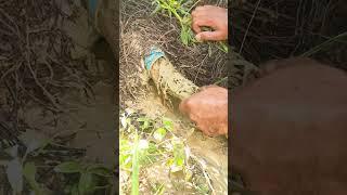Unclog Drain Water On Canal #unclog #clogging #remove #satisfying #water #drainwater