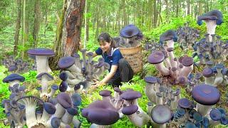 Harvest Speaker Mushrooms Goes to market sell | Have you ever known about this unique mushroom?