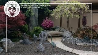 Sacramento Buddhist Church Live Stream