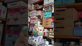 Art Craft Studio Space of Dr Jennie | #shorts #art #craft #studio