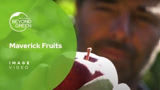 REFERENZEN: Maverick Fruits