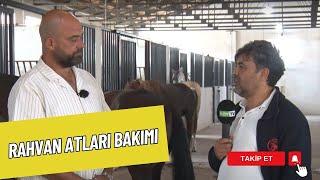   Rahvan Atları Bakımı ve Jokeyleri | BURAK KARAMAN'LA ATÇILIK