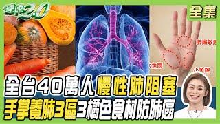 全台40萬人慢性肺阻塞！資深男星肺阻塞病逝！肺氣腫罹肺癌增6.3倍 3橘色食材防肺癌 健康2.0 20241207【完整版】鄭凱云 陳秀丹 陳百璽 梁惠雯 吳明珠 陳之穎 @tvbshealth20