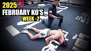 MMA & Boxing Knockouts I February 2025 Week 2