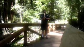 Me playing my NAF Cover Genesis - Ripples at new bridge at Big Basin SP