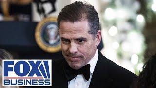 Hunter Biden is 2024's biggest 'X factor': Bill Hemmer