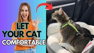 training your cat to enjoy car rides !