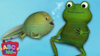 Frog Song (Life Cycle of a Frog) | CoCoMelon Nursery Rhymes & Kids Songs