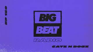 Big Beat Radio: EP #150 - Catz 'n Dogz - (Summer Fuego Mix)