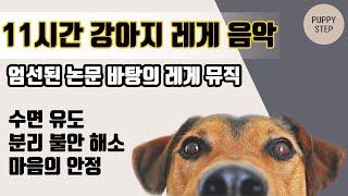 [11시간/NO광고] 강아지 레게 음악 / 강아지 힐링 음악 / 반려견 음악 / 논문 바탕 음악 / dog healing music