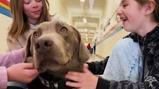 Paws-itivity in Spokane Public Schools