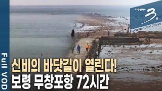 3040 도시인들이 몰려든다! '바다가 좋다!' 충남 보령 무창포 72시간 [다큐3일 KBS 20191101 방송]