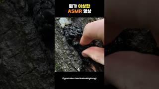 손놀림이 수상한 ASMR...