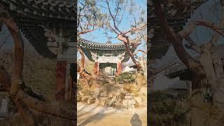 #길상사 #새해소망 #경복궁과 길상사 #서울에서