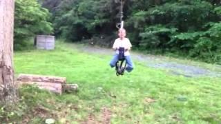 Tree swing