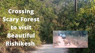 Crossing Scary Forest to visit Beautiful Rishikesh | Shaktipeeth Digital