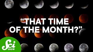 Does the Moon Control Your Period?