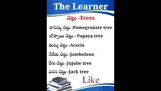 Learn Spoken ENGLISH Easily in Telugu!