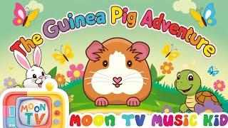 The Guinea Pig Adventure | A Magical Journey for Kids | Song for kids