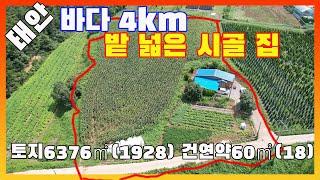 [물건번호2666]충남 태안군 태안읍 바닷가 4km" 밭 넓은 시골집" 급매 합니다, 가격 절충 가능합니다, 도로 접하고 있어 집짓기 좋고요 노후 준비하기 좋은 물건입니다,