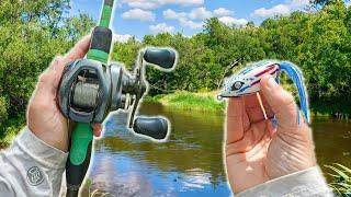 Throwing EXPENSIVE Topwater Baits For RIVER Fish - Worth It?