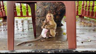 Lovely sister Jasmine huq koi tightly under the raininq