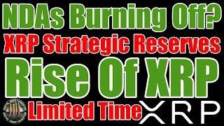 Rise Of XRP Treasury Thesis , Ripple/Cardano DeFi & Limited Time