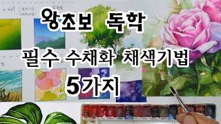 왕초보 수채화 독학 채색기법- 강의 강좌 풍경화 정물화 꽃 식물 기초 초보 색상 그리기 그리는 법 방법 배우기 청주 성인 취미 미술 미술학원 화실 서울 대전 대구 부산 인천 천안