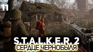 Дуга и окрестности ️ S.T.A.L.K.E.R. 2: Heart of Chornobyl [PC 2024] #11