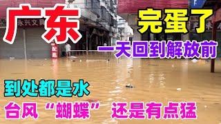 广东完蛋了，一天回到解放前，到处都是水，台风“蝴蝶”还是有点猛...#广东暴雨#蝴蝶#台风