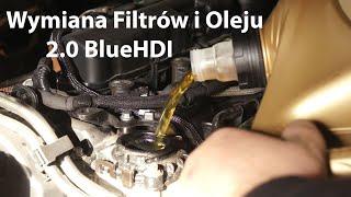 Wymiana filtrów i oleju 2.0 BlueHDI