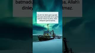 Allahı Dinleyenin Gemisi Batmaz #allah #hznuh #nuh #tufan #dünya #shorts #viralvideo