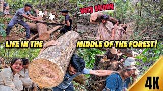 The traditional way of life of the Karen people, 1,000 years old, carrying wood up the mountain.