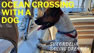 SAILING an OCEAN with a DOG ONBOARD EP.93 | SV Cordelia