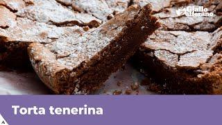 MOIST CHOCOLATE CAKE (Torta Tenerina): easy Italian recipe