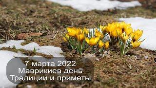 7 марта 2022 Святой Маврикий. Маврикиев день. Приметы.