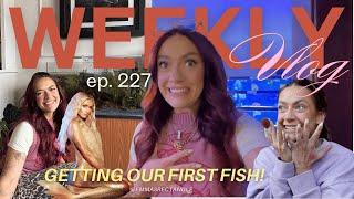 getting our first fish & becoming bffs with Paris Hilton  | weekly vlog 227
