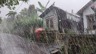 Super heavy rain hits villages life, walking in super heavy rain, rain and thunder sounds for sleep