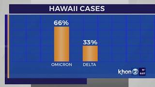 Health officials say don’t feel lax with omicron, delta still exists as Hawaii COVID cases rise