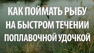 РЫБАЛКА на ПОПЛАВОК в ПРОВОДКУ на БЫСТРОМ ТЕЧЕНИИ